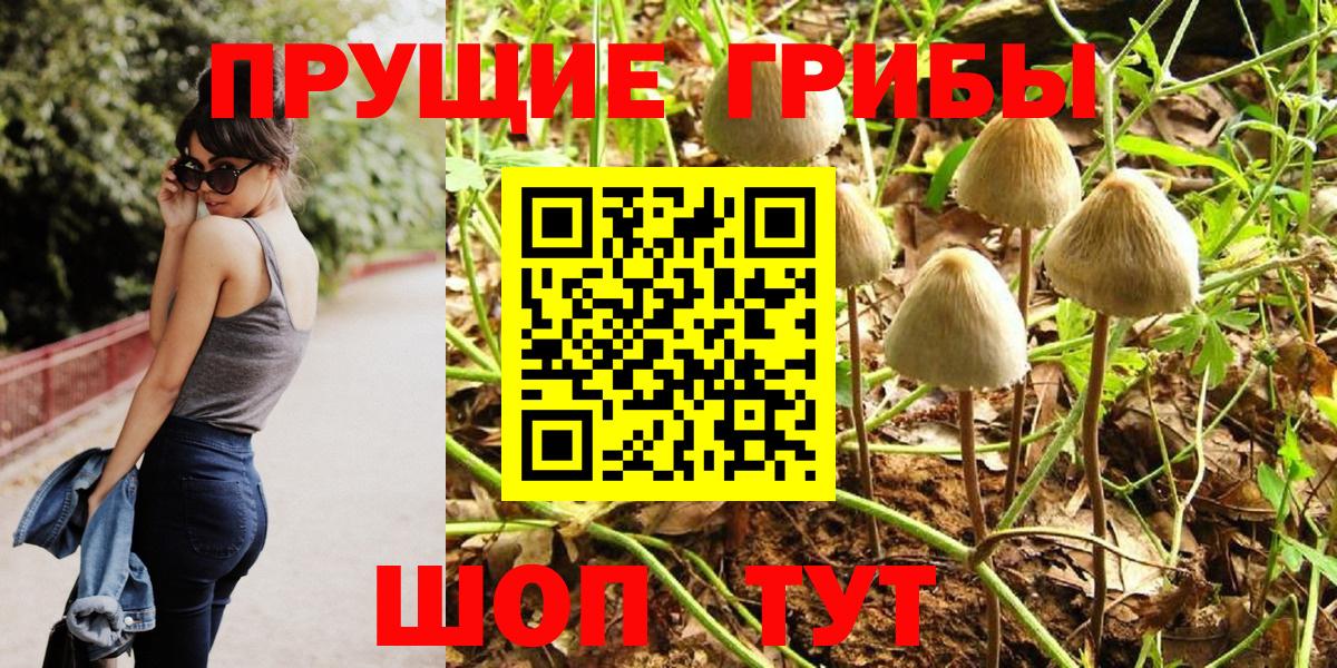 Галлюциногенные грибы мухоморы  магазин продажи наркотиков  Владимир 